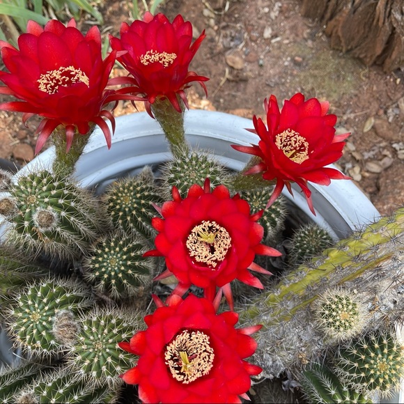 Meet your Posher, Mary - Picture 3 of 3